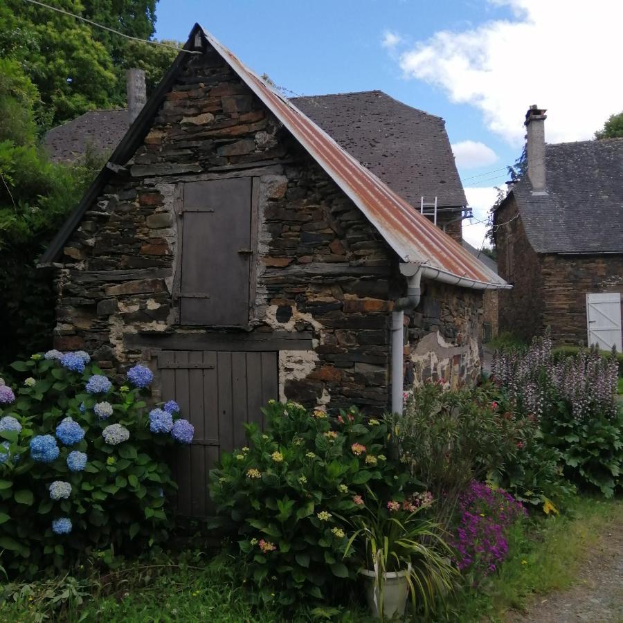 Maison Familiale Coteaux De La Vezere Voutezac Exterior photo